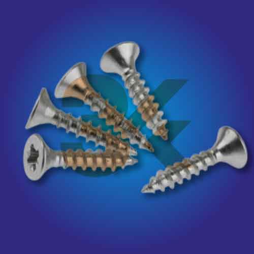 Sunta Vidası (PZ2 Uç)